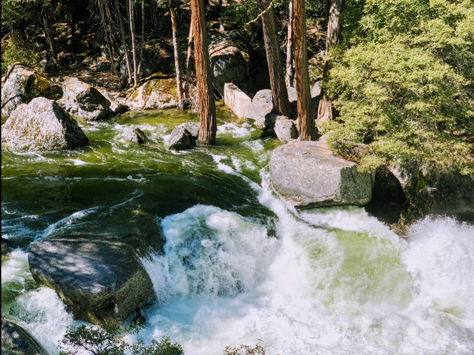 Photo of Yosemite and Sequoia Trip by Jyotirmaya Meher