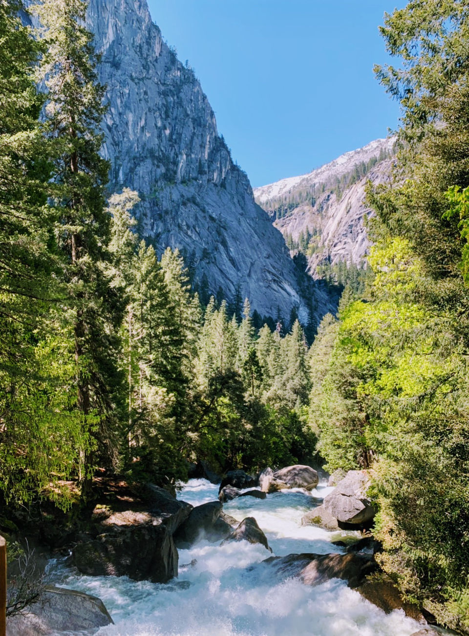 Photo of Yosemite and Sequoia Trip by Jyotirmaya Meher