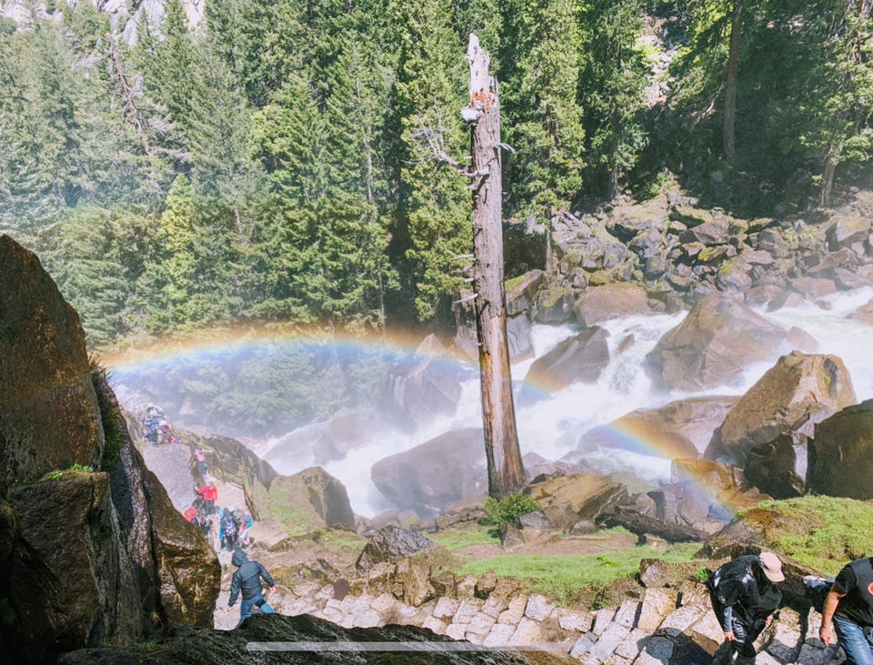 Photo of Yosemite and Sequoia Trip by Jyotirmaya Meher