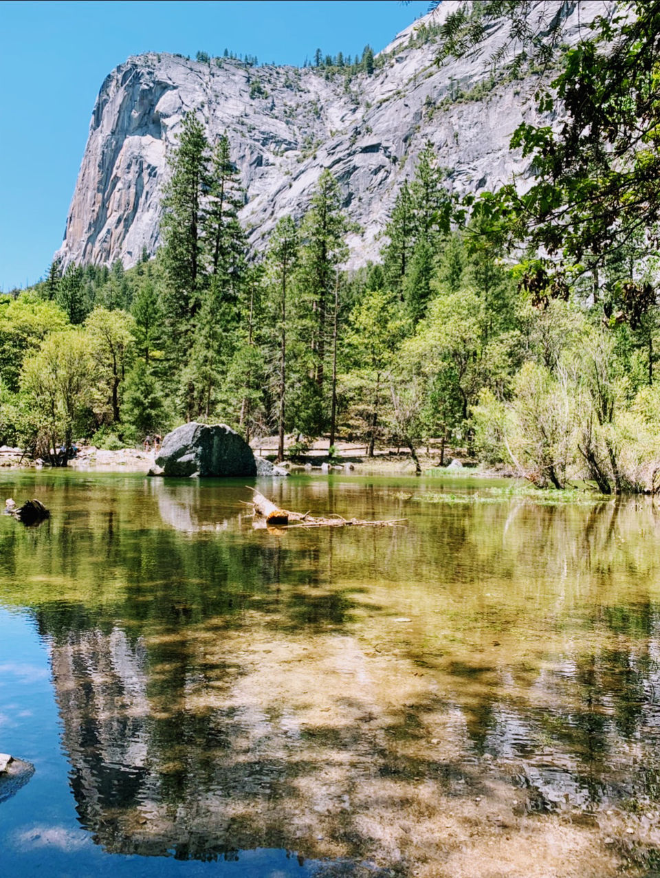 Photo of Yosemite and Sequoia Trip by Jyotirmaya Meher