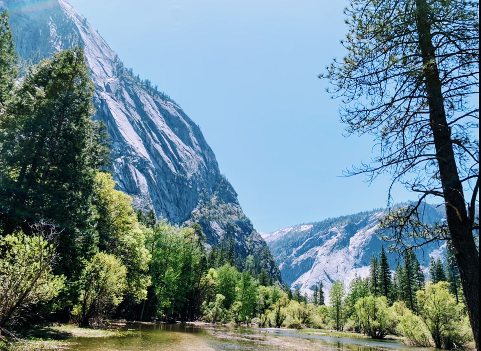 Photo of Yosemite and Sequoia Trip by Jyotirmaya Meher
