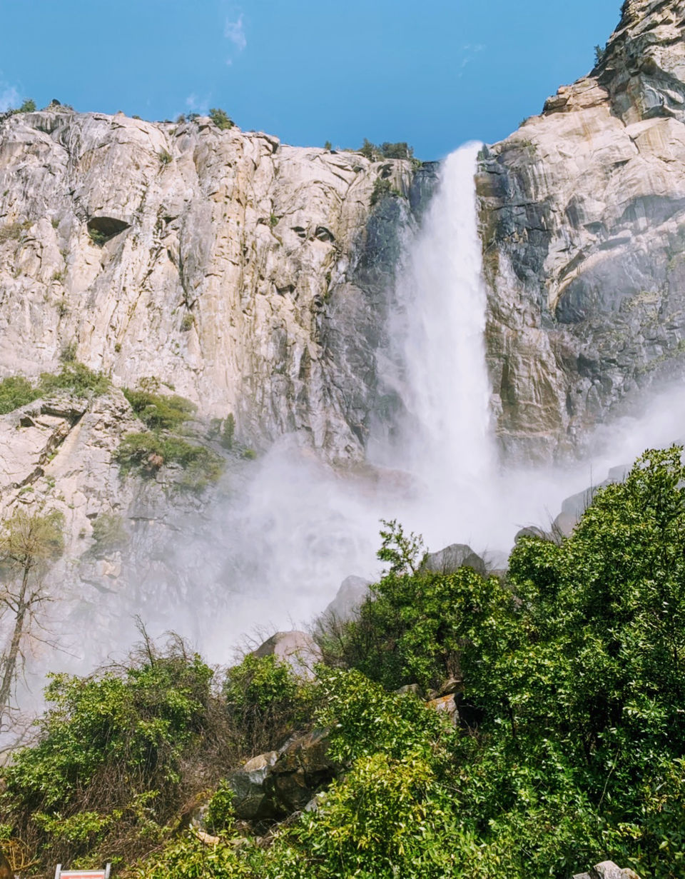 Photo of Yosemite and Sequoia Trip by Jyotirmaya Meher