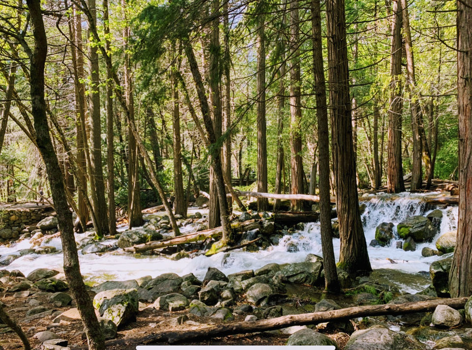 Photo of Yosemite and Sequoia Trip by Jyotirmaya Meher