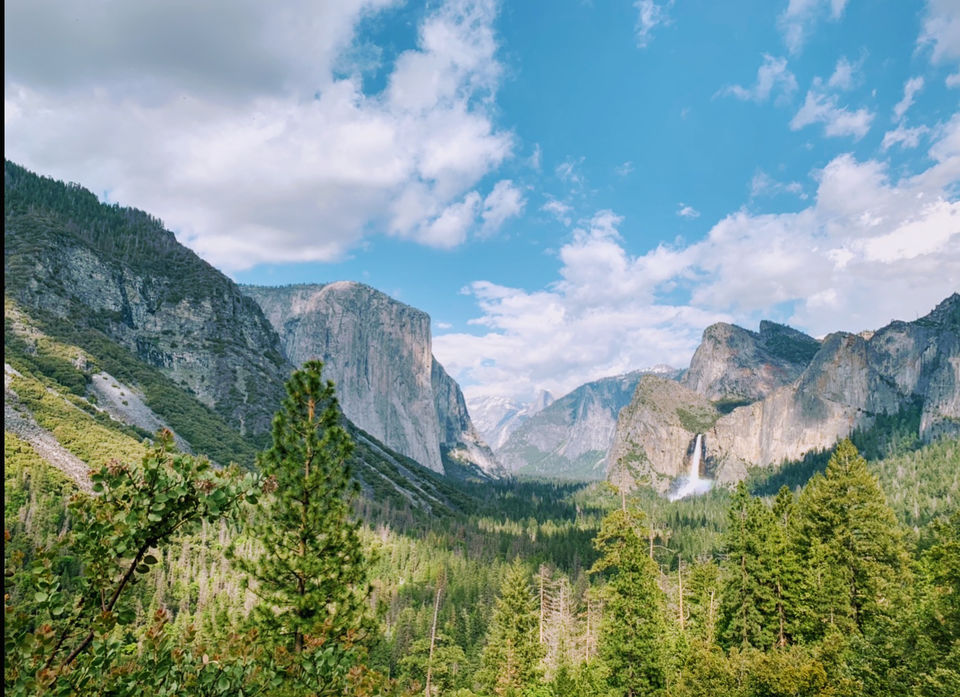 Photo of Yosemite and Sequoia Trip by Jyotirmaya Meher