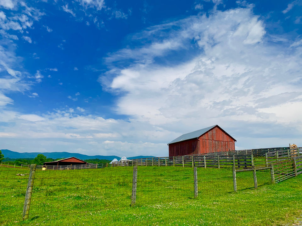 Photo of Camping at Shenandoah by Jyotirmaya Meher