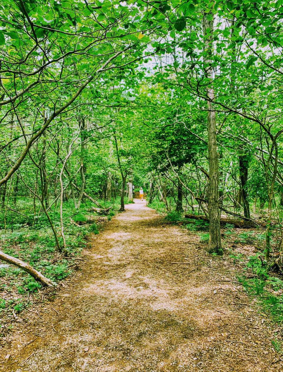 Photo of Camping at Shenandoah by Jyotirmaya Meher