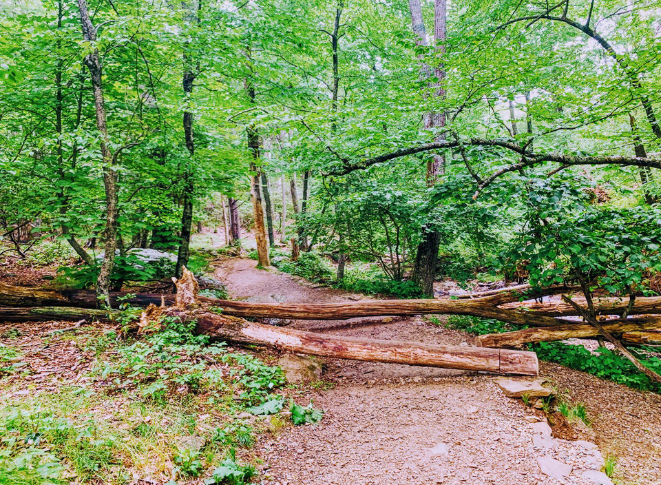Photo of Camping at Shenandoah by Jyotirmaya Meher