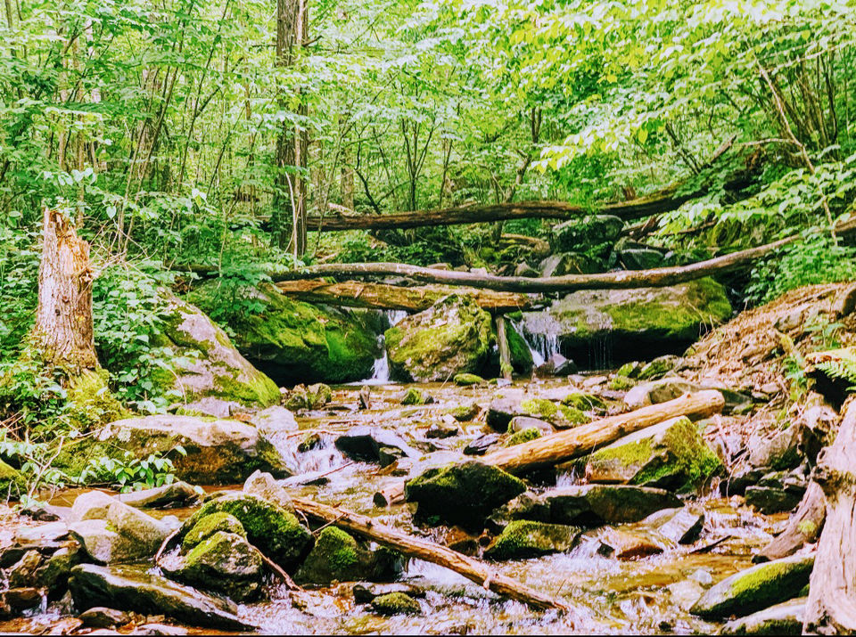 Photo of Camping at Shenandoah by Jyotirmaya Meher