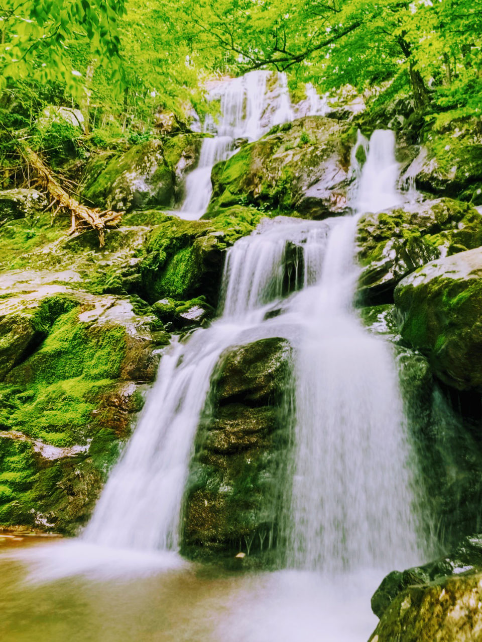 Photo of Camping at Shenandoah by Jyotirmaya Meher