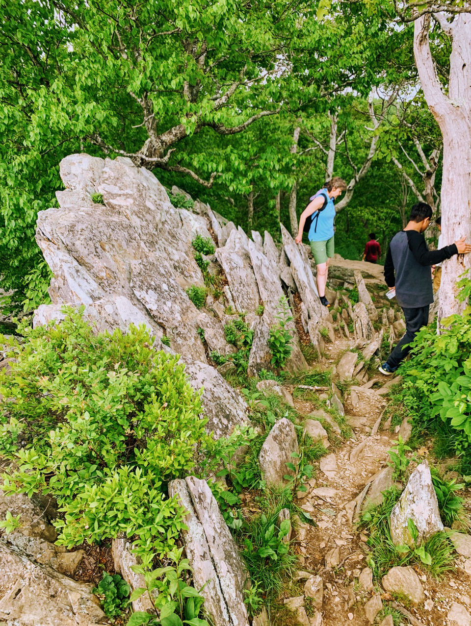 Photo of Camping at Shenandoah by Jyotirmaya Meher