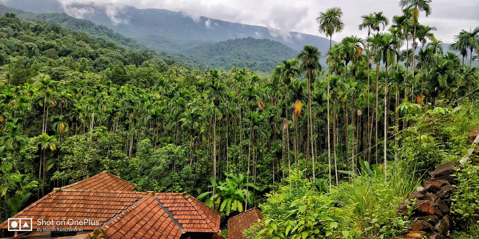 Photo of Amidst the deep jungles of Kudremukh by Shirish Ramchandran