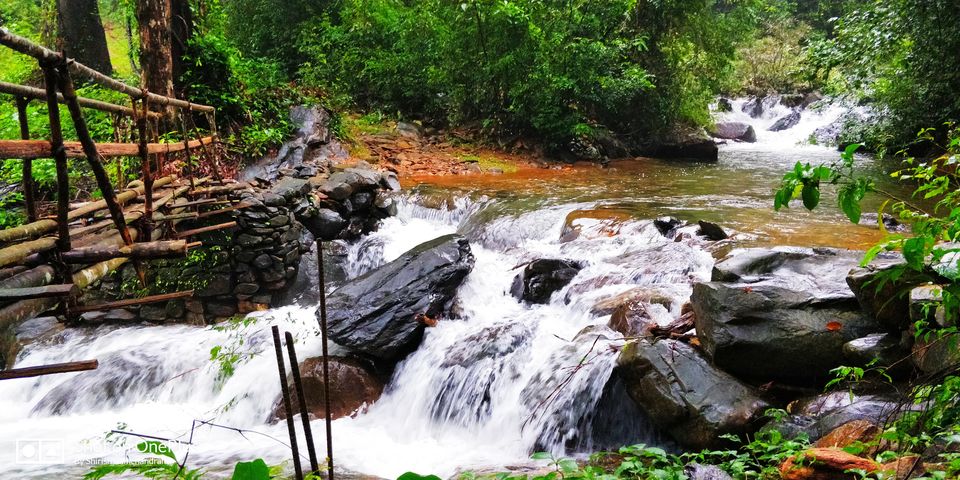 Photo of Amidst the deep jungles of Kudremukh by Shirish Ramchandran