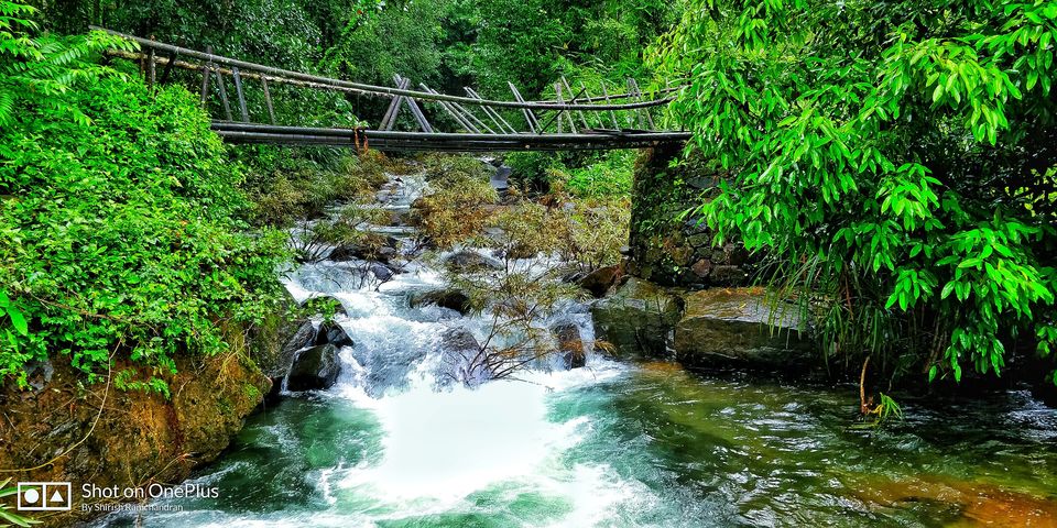 Photo of Amidst the deep jungles of Kudremukh by Shirish Ramchandran