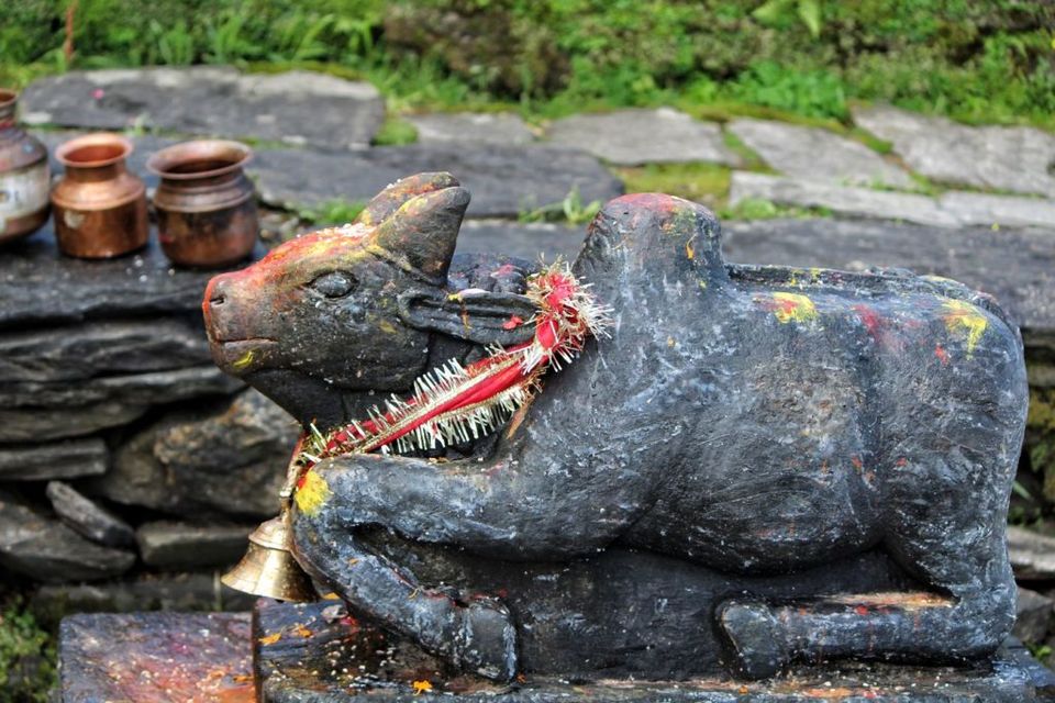 Photo of Take The Stress Out Of Trekking:Deoriatal|Chandrashila Summit - illuminylife 5/5 by Jhanvi
