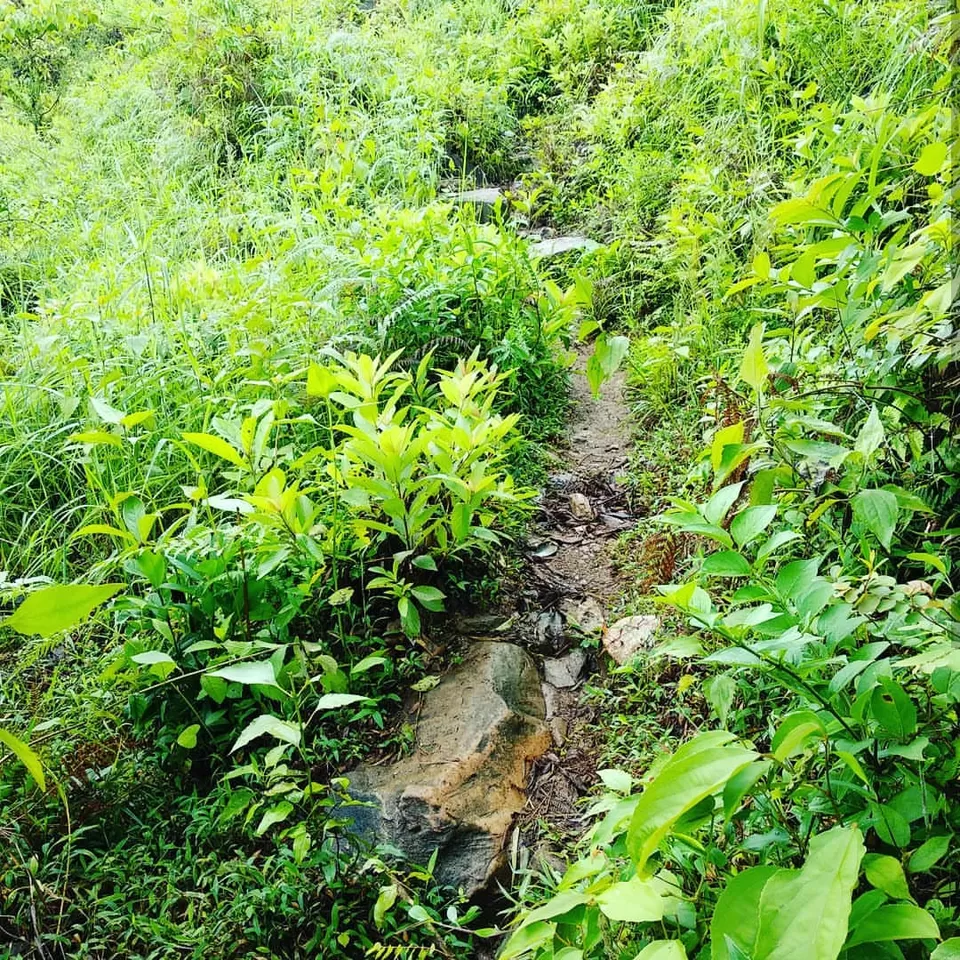 Photo of Kudremukh, Karnataka, India by Samantha Sawan