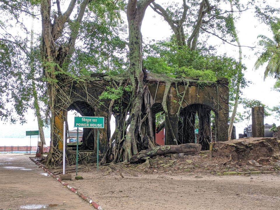 Photo of Port Blair, Andaman and Nicobar Islands, India by Samantha Sawan