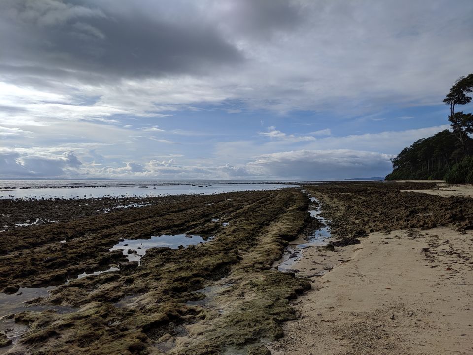Photo of Neil Island, Andaman and Nicobar Islands by Samantha Sawan