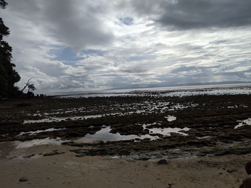 Photo of Neil Island, Andaman and Nicobar Islands by Samantha Sawan