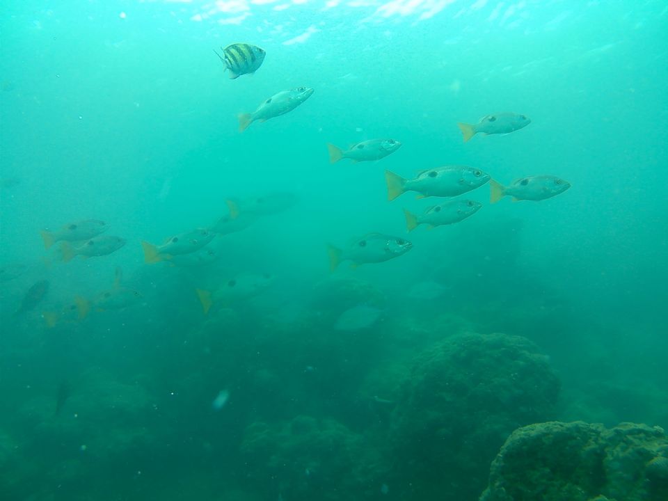 Photo of Havelock Island, Andaman and Nicobar Islands by Samantha Sawan