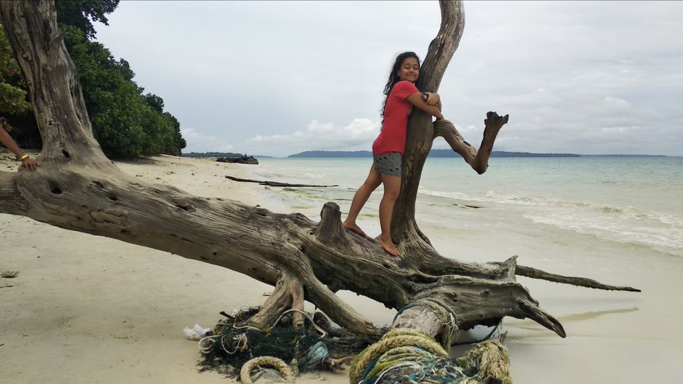 Photo of Havelock Island, Andaman and Nicobar Islands by Samantha Sawan
