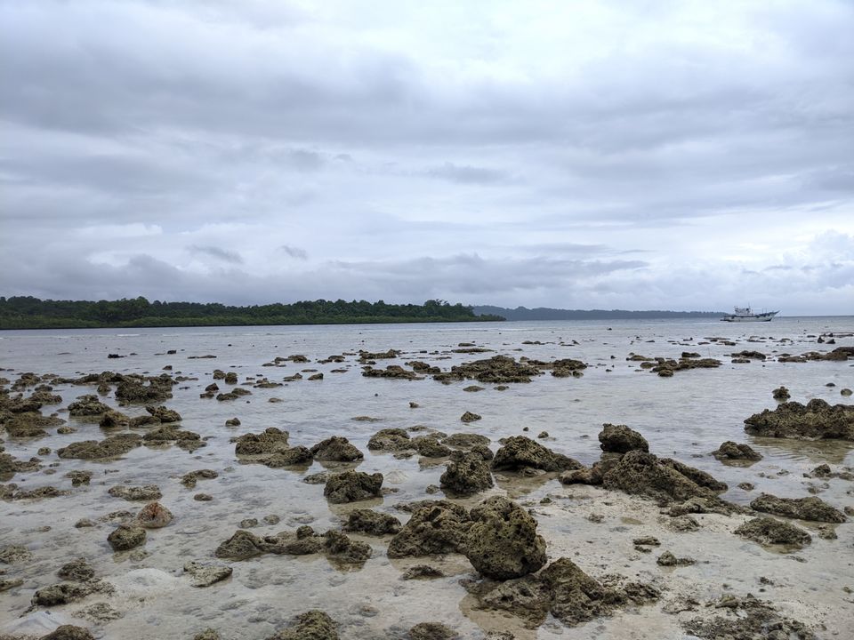 Photo of Havelock Island, Andaman and Nicobar Islands by Samantha Sawan
