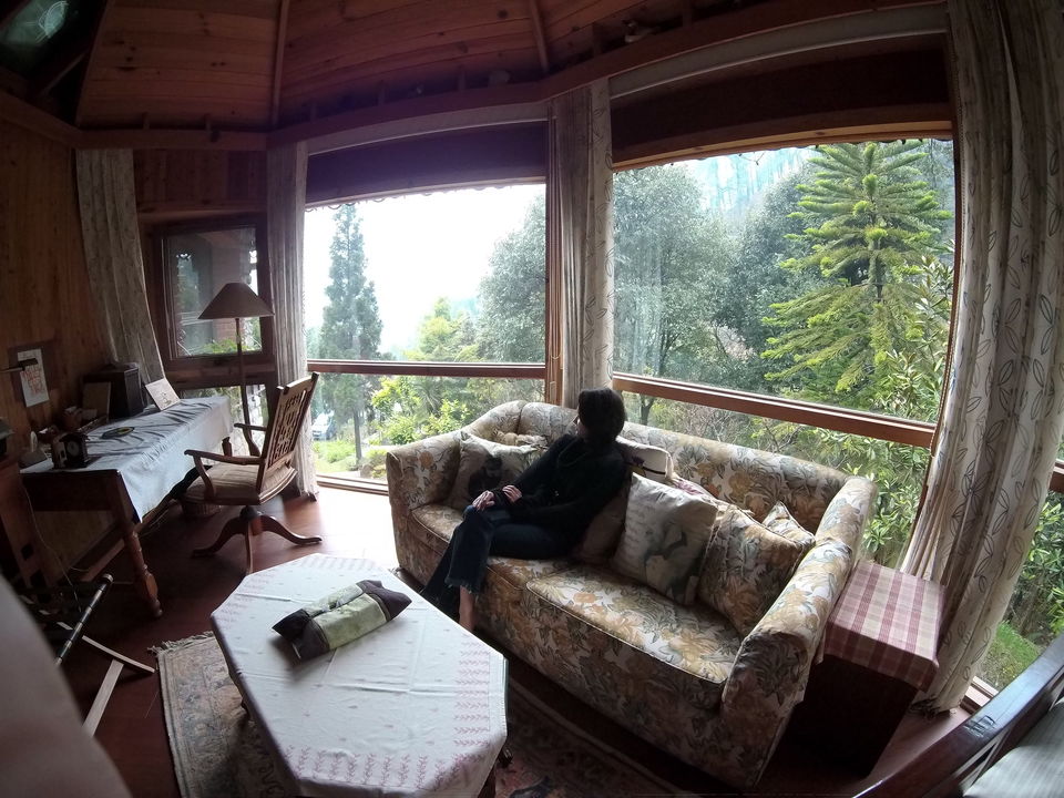 Photo of Himalaica – Hidden gem in the hills of Nainital #summerescape #IssSummerBaharNikal by Travelshowman