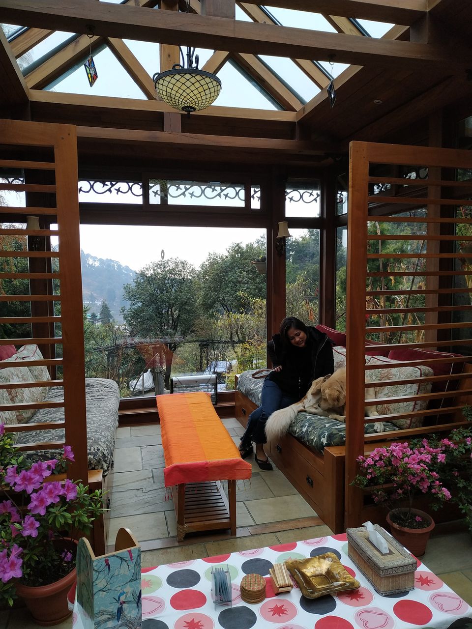 Photo of Himalaica – Hidden gem in the hills of Nainital #summerescape #IssSummerBaharNikal by Travelshowman