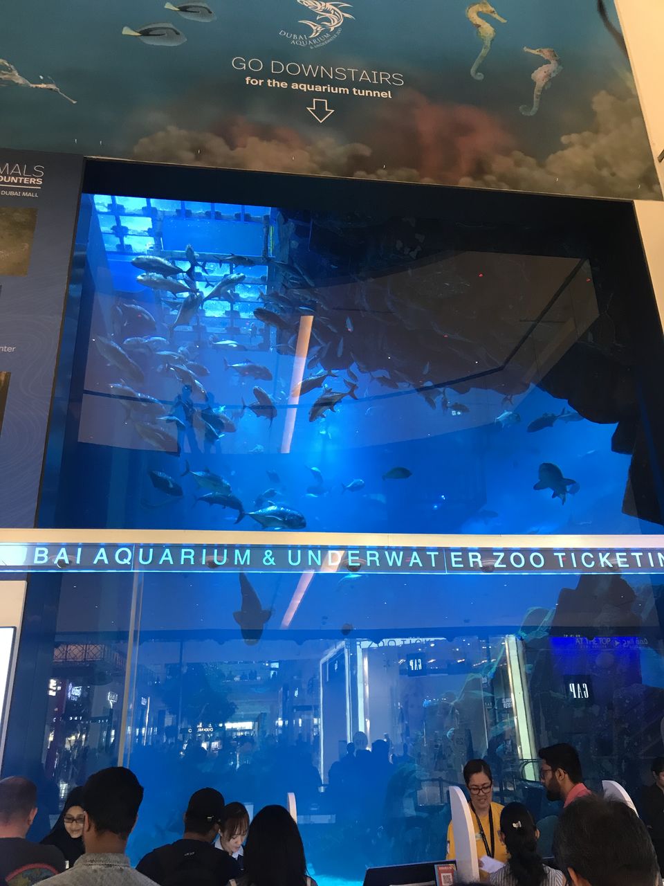 Photo of The Dubai mall by Prabhneer Panesar