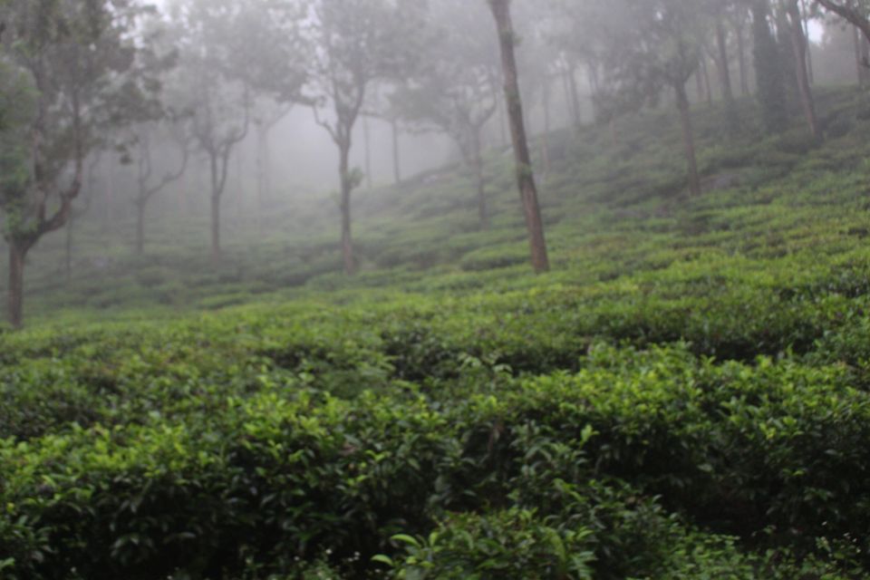 Photo of Ooty View point, Thalayathimund, Ooty, Tamil Nadu, India by Salvin Thilak S