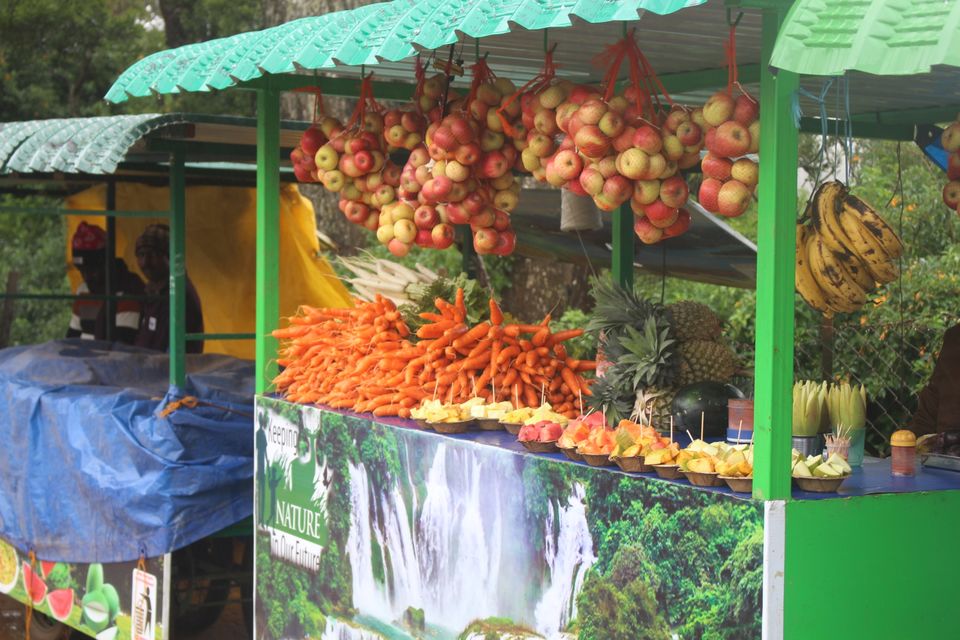 Photo of Ooty Diary by Salvin Thilak S