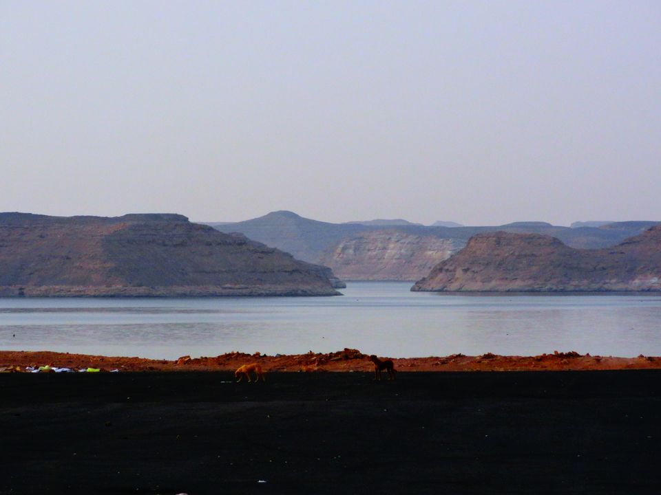Photo of Abu Simbel, Temple of Philae and Kom Ombo Temple of Egypt by Mazzanilife