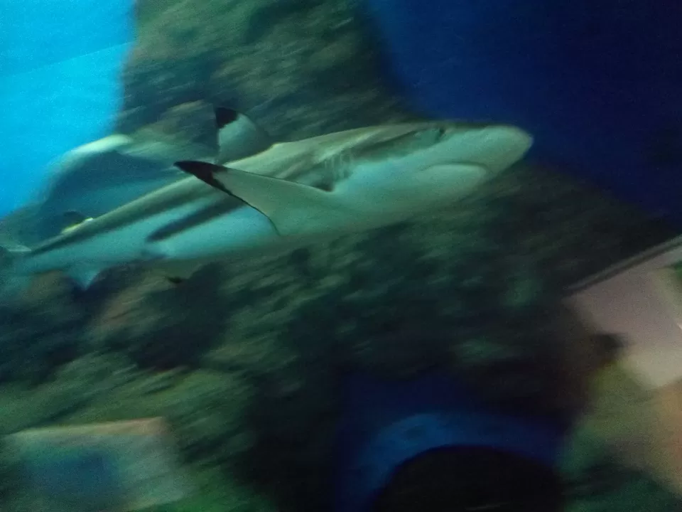 Photo of Soi Cowboy, Soi Cowboy, Khlong Toei Nuea, Watthana, Bangkok, Thailand by Devansh