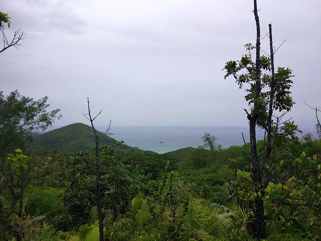 Photo of One Day Trip To Glacis noir trail in Praslin Island, Seychelles by Bhakti Menon