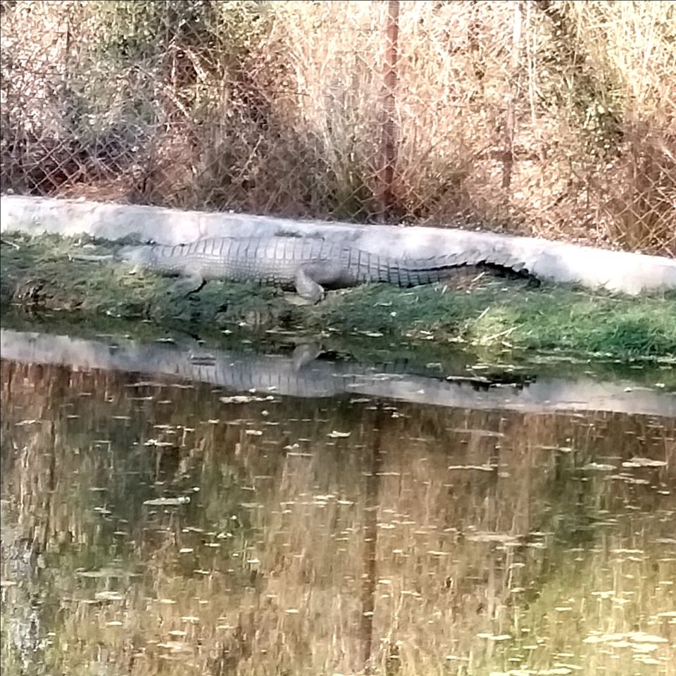 Photo of Van Vihar National Park by Baljeet Singh (घुमक्कड़)