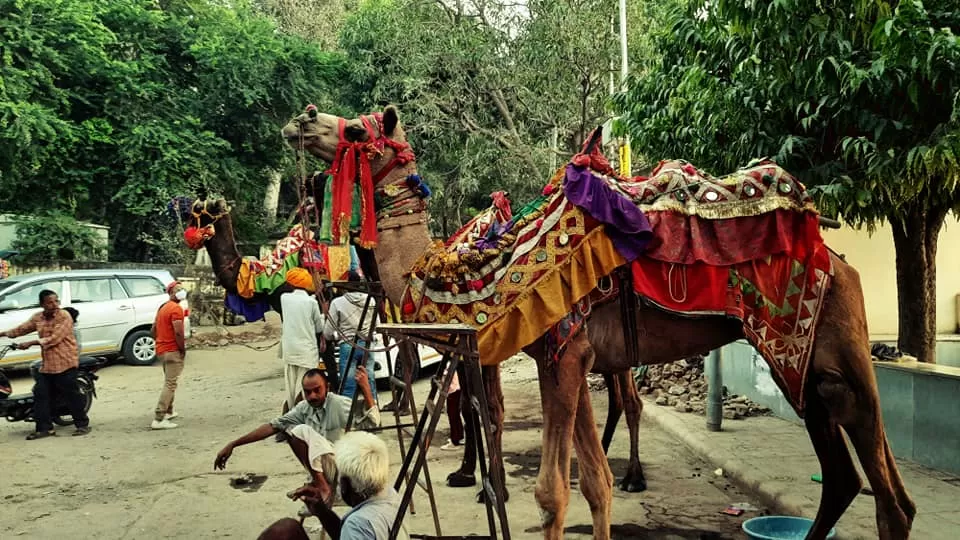 Photo of Lake Pichola, Pichola, Udaipur, Rajasthan by Baljeet Singh (घुमक्कड़)