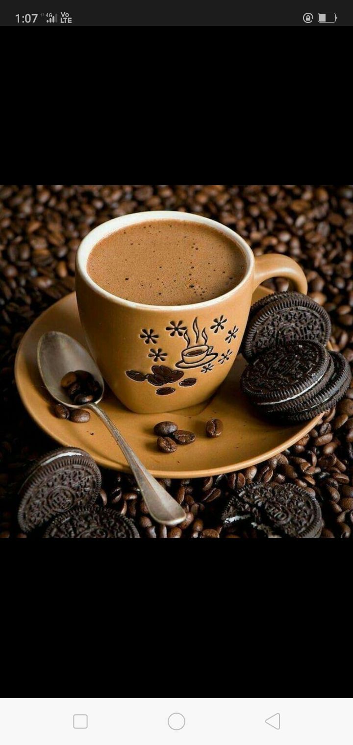 Photo of Cafe Tree House, New Rajendra Nagar, Raipur, Chhattisgarh, India by SansKriti