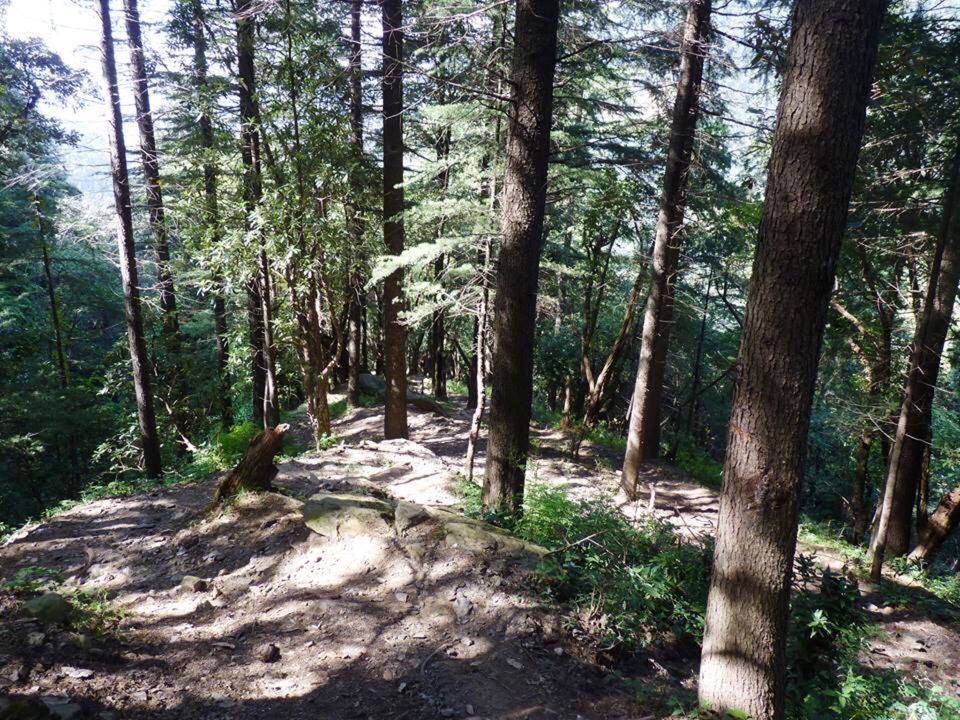 Photo of First Solo Trek To Parashar Lake by Archit Ratan