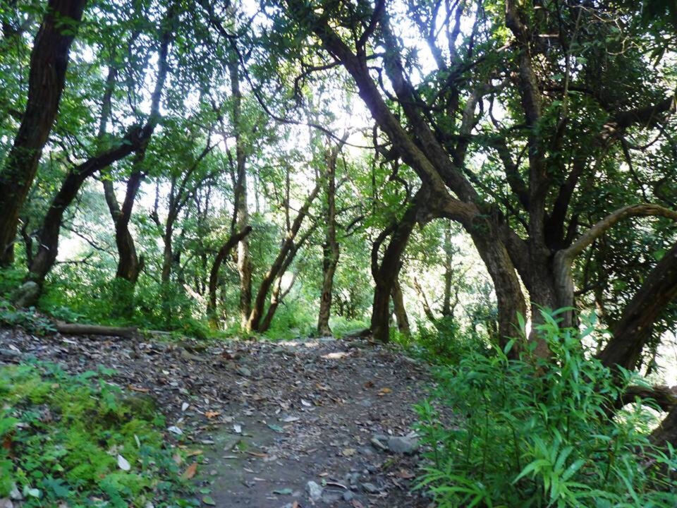 Photo of First Solo Trek To Parashar Lake by Archit Ratan