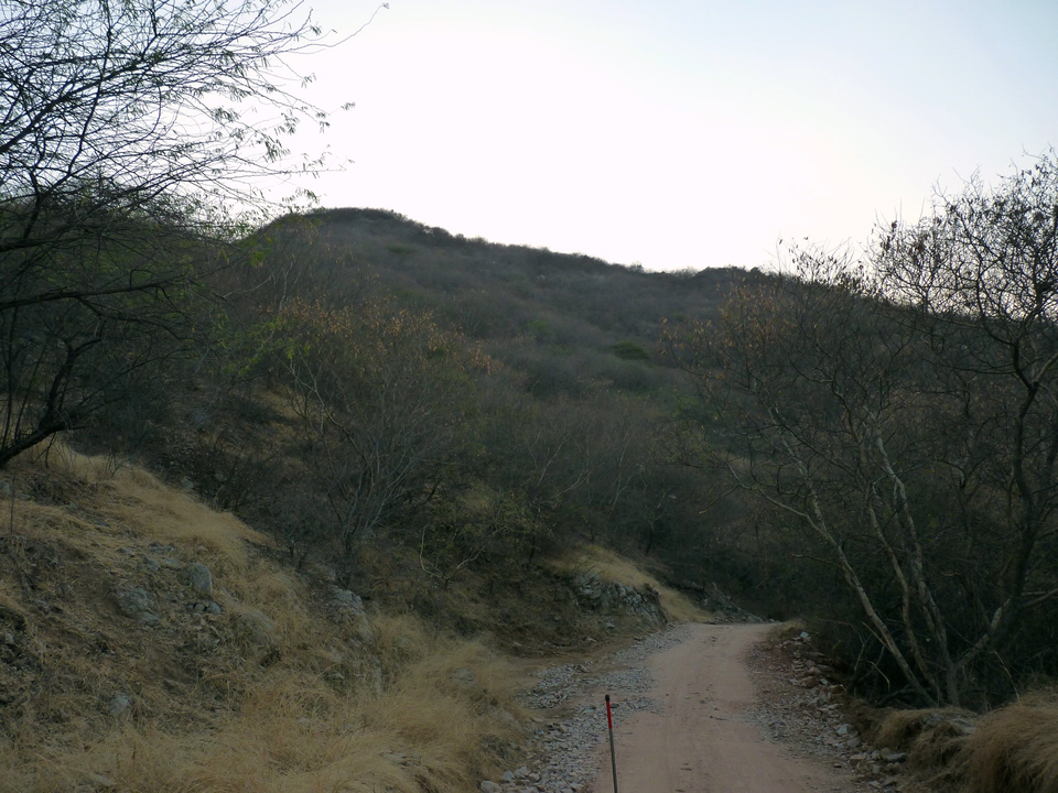 Photo of Jhalana- Leopard Safari by Archit Ratan