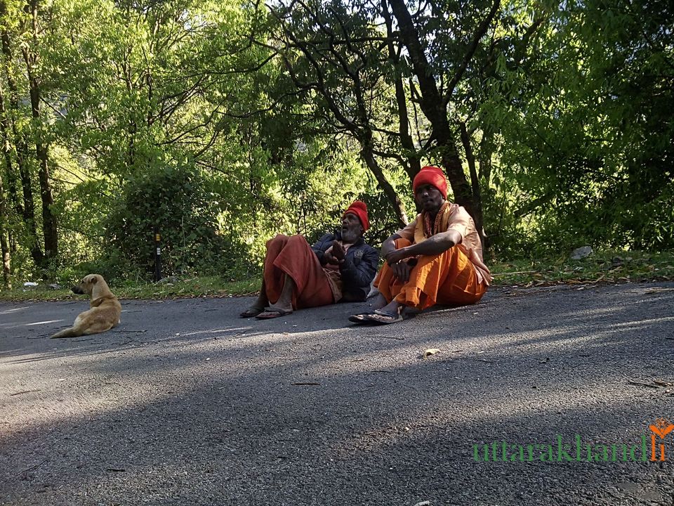 Photo of Chopta Tales 7/18 by Abhay Kapkoti