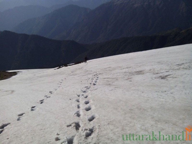Photo of Chopta Tales 8/18 by Abhay Kapkoti