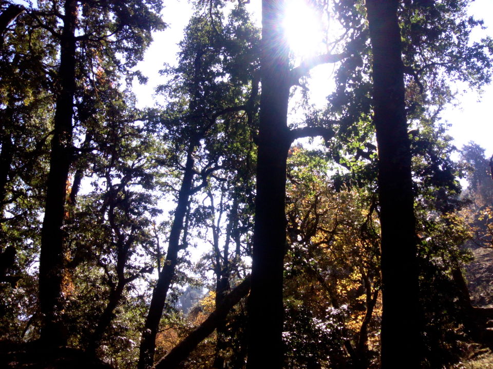 Photo of Munsiyari: The hidden jewel of the Himalayas 2/14 by Abhay Kapkoti