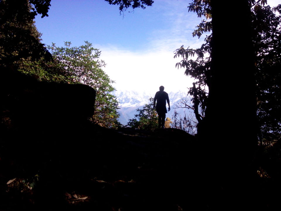 Photo of Munsiyari: The hidden jewel of the Himalayas 3/14 by Abhay Kapkoti