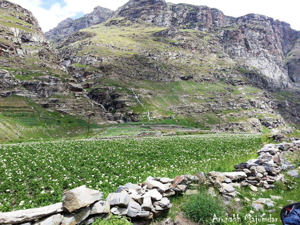 Photo of Chandrataal Lake - A ride to 14,100 feet 16/43 by Arunabha Majumdar