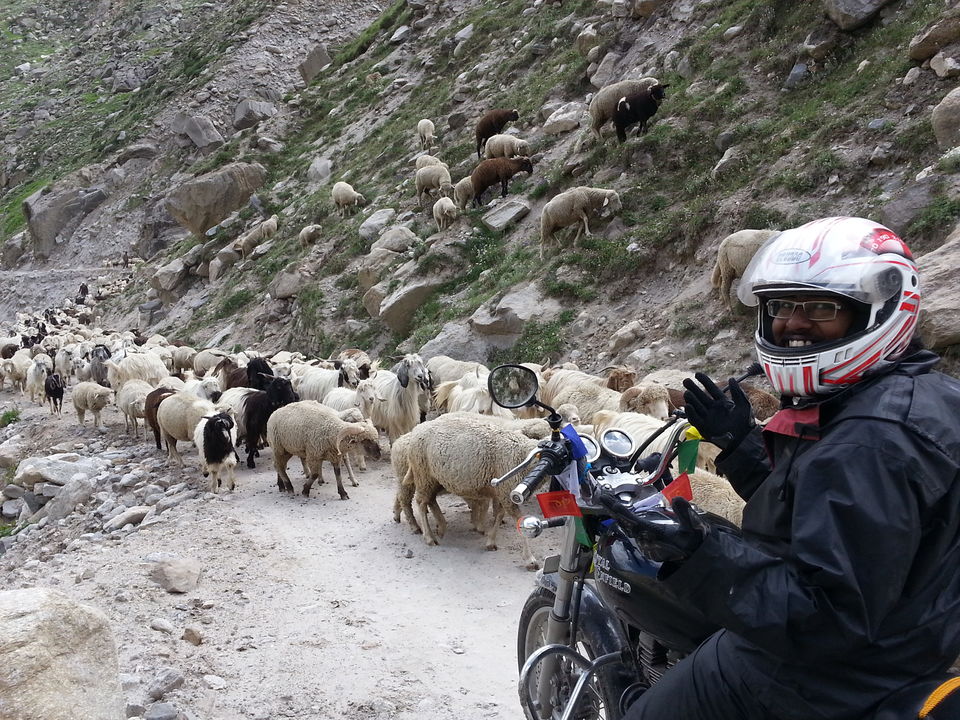 Photo of Chandrataal Lake - A ride to 14,100 feet 20/43 by Arunabha Majumdar