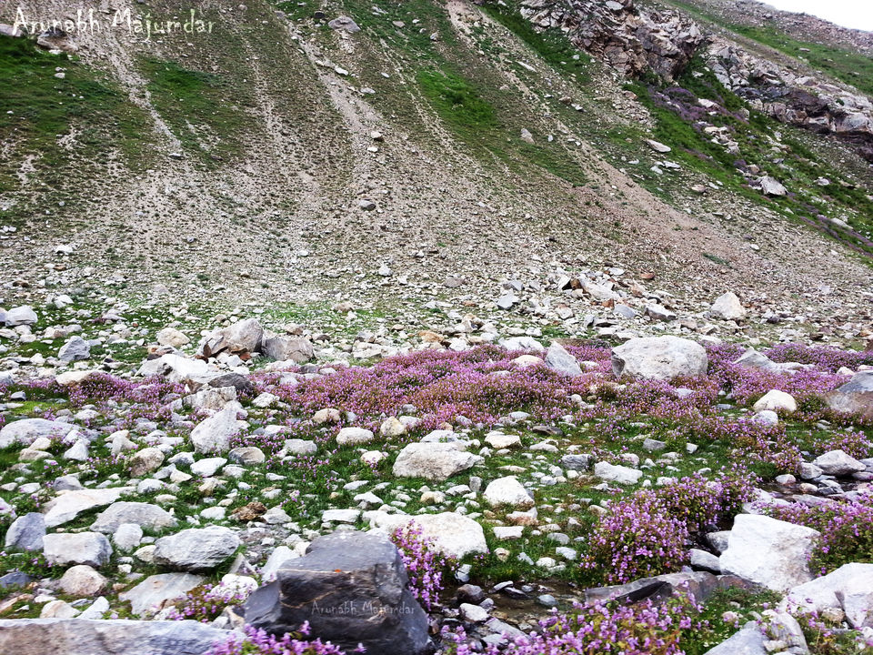 Photo of Chandrataal Lake - A ride to 14,100 feet 25/43 by Arunabha Majumdar