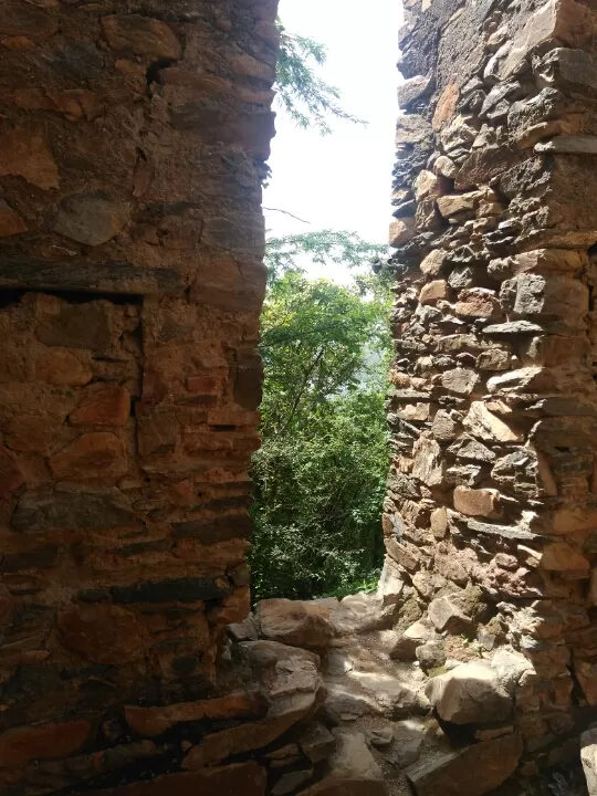 Photo of On Hunch To Udaipur by Rohit Singh