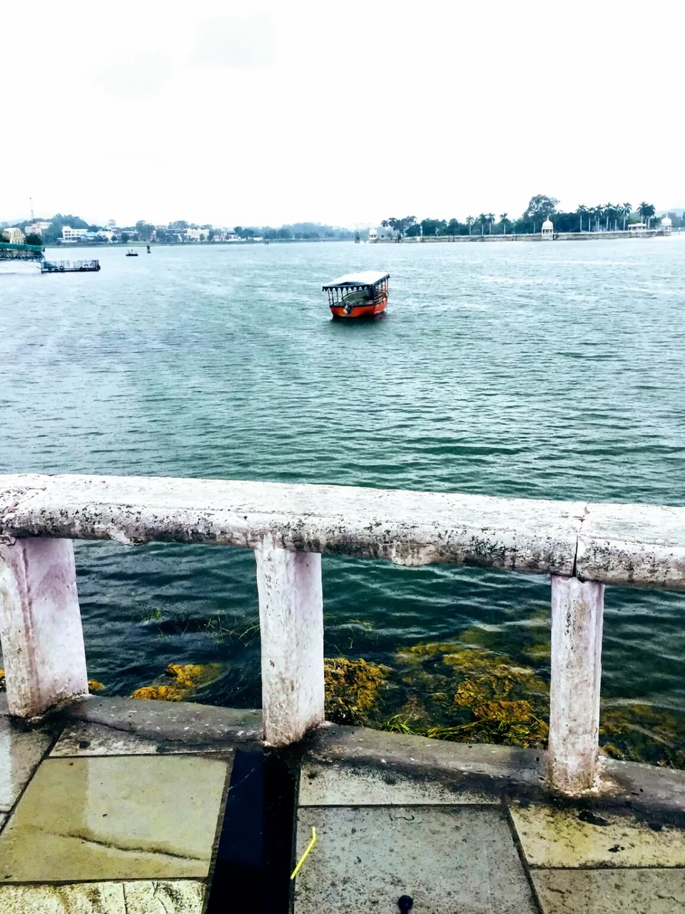 Photo of Udaipur : RAIN-RAIN COME AGAIN#monsoonspots by Gunjan
