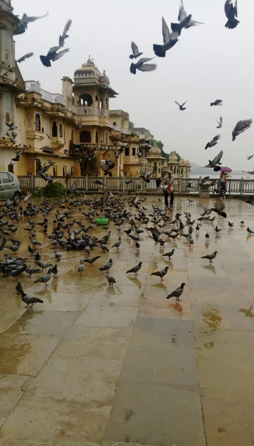 Photo of Udaipur : RAIN-RAIN COME AGAIN#monsoonspots by Gunjan
