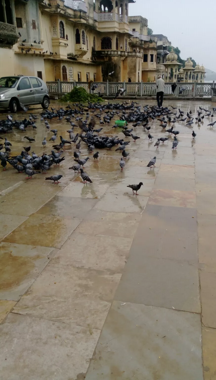 Photo of Udaipur : RAIN-RAIN COME AGAIN#monsoonspots by Gunjan